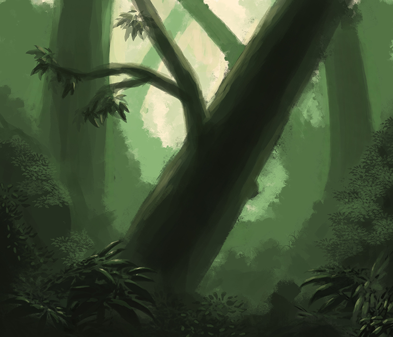 Thick Forest Study